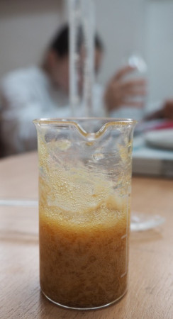 P1010008 (Small).JPG